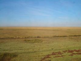 Saryarka - Steppe and Lakes of Northern Kazakhstan